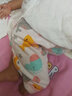 舒貝怡2條裝嬰兒秋褲子新秋冬款男女寶寶高腰護(hù)肚睡褲純棉兒童秋褲打底 海洋藍(lán)+恐龍藍(lán) 80 cm(12-18個(gè)月兩用檔) 曬單實(shí)拍圖