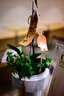 七工匠AF50mm f1.8全畫幅自動(dòng)對(duì)焦鏡頭適用于A7M3M4 R3 R4 R5 S3 FX3 ZVE10二代Z5 Z6 Z8 Z9 ZFC Z63 Z7 尼康Z口（全畫幅） 經(jīng)典黑 官方標(biāo)配 贈(zèng)遮 曬單實(shí)拍圖