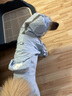 嬉皮狗（hipidog）狗狗雨衣衣服寵物夏季小狗泰迪比熊小型犬立體背包可牽引連腳雨衣 邦迪藍(lán) 2XL （建議體重15-20斤） 曬單實(shí)拍圖
