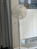 奥克斯(AUX)电风扇/落地扇/家用循环空气/节能柔风台式立式两用/桌面风扇/FS-30-A1211(2.7米线) 实拍图