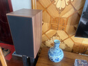 SPENDOR思奔達（Spendor）Classic 2/3英國思奔達音響發(fā)燒HiFi書(shū)架箱無(wú)源音箱家用高保真音箱原裝進(jìn)口音箱 2/3音響+ONIX歐尼士RA125功放+CD15 曬單實(shí)拍圖