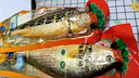 京鮮生新鮮活凍大黃花魚2條裝 優(yōu)選大黃魚450g-550g*2條 約1000g 2斤 曬單實(shí)拍圖