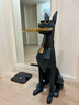 冰石美創(chuàng  )意大型落地狗擺件現代客廳電視柜沙發(fā)旁家居裝飾品喬遷新居禮品 超大號紳士犬白金款（一只） 曬單實(shí)拍圖