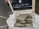 樂食港【活鮮】 Gillardeau吉娜朵 法國生蠔鮮活進(jìn)口吉拉多牡蠣  N1（120-135g/只 12只） 曬單實(shí)拍圖