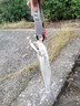 釣嗨尼 釣鱸魚(yú)神器鱸魚(yú)專(zhuān)用鉤浮釣成品線(xiàn)組套裝串鉤魚(yú)漂淡水海釣漂鱸釣組 釣鱸魚(yú)專(zhuān)用鉤-金色（50枚/包） 16號 曬單實(shí)拍圖