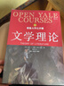 后浪官方正版 耶魯大學(xué)公開(kāi)課 文學(xué)理論 文學(xué)理論教程導引基礎 文學(xué)研究 文學(xué)理論 曬單實(shí)拍圖