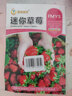 鳳鳴雅世四季種易活草莓種籽室內蔬菜水果陽(yáng)臺水果種孑迷你草莓種子500粒 曬單實(shí)拍圖
