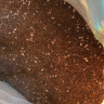 德沃多肥料养花专用营养土30L园艺养花土花卉盆栽种植土壤有机基质土椰糠土 实拍图