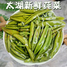 騎猴趕馬（產(chǎn)地直發(fā)）蘇州太湖莼菜 新鮮有機蔬菜 利川西湖莼菜野菜馬蹄菜 新鮮采摘-產(chǎn)地直送 9瓶【300g/瓶】瓶裝 曬單實拍圖