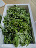 辰實(shí) 【順豐速發(fā)】艾草新鮮 艾葉 現(xiàn)摘清明草 粑粑青團(tuán) 1斤【新鮮采摘】 曬單實(shí)拍圖