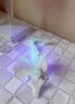 帶翅膀的夜光龍3d打印炫酷漸變水晶龍桌面擺件關(guān)節可動(dòng)吸收紫外線(xiàn) 帶翅膀夜光龍【23cm】+紫光電筒 曬單實(shí)拍圖