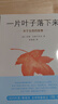 一片葉子落下來 3-6歲兒童圖畫書正版 幼兒早教故事課外書 子啟蒙漫畫繪本 曬單實(shí)拍圖