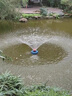 魚(yú)塘池塘垂釣園增氧機噴水排灌觀(guān)賞浮水泵魚(yú)蝦蟹養殖增氧泵打氧機 增氧機550瓦-10米電纜 曬單實(shí)拍圖