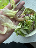 嗯嗯樂【順豐】新鮮沙拉蔬菜組合混合即食蔬菜沙拉菜 健身健康輕食蔬菜 開袋即食蔬菜沙拉200g*3袋 曬單實(shí)拍圖