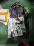沃繡 水培植物綠植室內水養花卉盆栽銅錢(qián)草 小仙女1棵 不含盆 曬單實(shí)拍圖