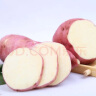 静益乐源商薯红薯 白心红薯 板栗红薯 农家地瓜 新鲜蔬菜 3斤 中大果 实拍图