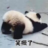 歐斯若 七夕鮮花禮品包裝紙 18克純色內(nèi)襯紙 花束紙材料包花紙 雪梨紙 雪梨紙【奶白】35張/包 曬單實(shí)拍圖