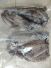 魚姐海成 青島海兔子滿籽筆管魚新鮮全籽籽烏鮮活冷凍海鮮水產(chǎn)2斤袋裝 曬單實(shí)拍圖