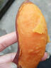 甜農(nóng)人山東沙地?zé)熓?5號  新鮮紅煙薯 黃金煙薯 農(nóng)家 地瓜 煙薯 5斤 曬單實拍圖