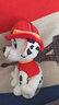 汪汪隊立大功（PAW PATROL）汪汪隊毛絨玩具狗狗天天玩偶公仔娃娃擺件男女孩生日禮物 經(jīng)典款-毛毛公仔【需選尺寸】 小號-坐高15.2CM 曬單實(shí)拍圖