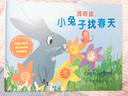 蒂姆幼兒?jiǎn)⒚衫L本系列：找呀找，小兔子找春天（麥克米倫世紀童書(shū)館） 曬單實(shí)拍圖