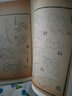 芥子園畫傳 珍藏版經(jīng)典畫譜王蓍中國畫技法 上海書畫出版社 曬單實拍圖