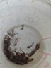 本地塘鲺魚苗三黃塘鲺胡子鯰魚塘角魚苗土塘鲺魚塘虱冬季淡水魚苗 50條6-8厘米 +6條+魚糧 曬單實(shí)拍圖