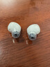 緋樂H270適用于三星buds2/索尼wf1000xm4/x5耳機(jī)耳帽防滑耳塞真無線藍(lán)牙入耳式耳塞套硅膠套 索尼wf1000xm4 L大號(hào)1對(duì) 曬單實(shí)拍圖