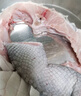 悠軼鱷魚生鮮肉整只鱷肉食用鱷魚中段肉活物現(xiàn)殺新鮮水產(chǎn)魚類 鱷魚掌腿肉 凈重3斤 曬單實(shí)拍圖