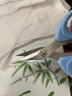 有雙剪腳指甲刀剪灰指甲專用 精品工藝 高檔尖嘴修甲腳趾甲溝炎剪子 A級709小號【藍(lán)柄指剪】 曬單實(shí)拍圖