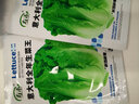 壽禾 奶油生菜種子多品種春播種青菜生菜籽蔬菜種孑四季易種種籽 濰豐奶油生菜種子2g約1400粒 曬單實(shí)拍圖