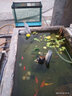 寶貝故事（BABY STORY）熱彎玻璃魚缸水族箱 客廳魚缸免換水桌面金魚缸家用養(yǎng)魚生態(tài)缸 長(zhǎng)83寬41高65cm(魚缸+過(guò)濾+燈+養(yǎng)魚禮包) 曬單實(shí)拍圖