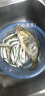 舟三公野釣全能腥全能香鯽魚(yú)鯉魚(yú)草魚(yú)羅非餌料打窩料魚(yú)食套餐拉餌配方 大板鯽【2袋】 曬單實(shí)拍圖