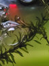 森森魚(yú)缸生態(tài)水草缸小型超白玻璃熱帶魚(yú)水族箱迷你桌面金魚(yú)缸帶底座 280裸缸 （不帶燈過(guò)濾）28cm長(cháng) 曬單實(shí)拍圖