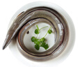 鹿凌青 鮮活鰻魚(yú) 白鰻魚(yú) 現捕現發(fā) 冰鮮海鰻 海鮮水產(chǎn) 生鮮魚(yú)類(lèi) 【鮮活河鰻】1條(1.4-1.5斤/條) 曬單實(shí)拍圖