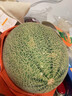 萊財多哈密瓜海南西州蜜瓜新鮮水果10斤當季整箱香甜脆瓜網紋瓜蜜瓜 凈重2.5-3斤1個裝 曬單實拍圖