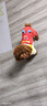 MIKI PAD狗狗衣服小型犬春秋款貓咪衣服四腳衣可牽引小狗衣服泰迪比熊 薯條背帶褲 S背長25cm（參考體重1-5斤） 曬單實拍圖