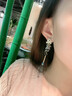 迪后輕奢品牌花朵流蘇耳飾女長(zhǎng)款耳環(huán)ins潮小眾設(shè)計(jì)高級(jí)感氣質(zhì)耳墜情人節(jié)生日禮物送女友 黑碎鉆款+精美禮盒 曬單實(shí)拍圖