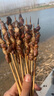 綠之邦（Luzhibang） 國產(chǎn)原切羊肉串新鮮羊肉半成品烤肉串戶外燒烤食材BBQ冷凍生鮮 羊肉串50串 凈重650g 曬單實拍圖