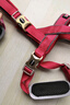 多尼斯狗狗牽引繩大中小型犬栓遛狗繩狗鏈子胸背帶拉布拉多金毛柴犬 紅色（單個(gè)胸背帶） XL(建議25-50斤胸圍62-95cm) 曬單實(shí)拍圖