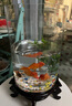 品云美寵 魚(yú)缸圓形玻璃桌面迷你小型金魚(yú)缸 20_30圓柱+彩石6件套+底座 曬單實(shí)拍圖