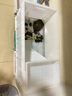 勛貍粑特大號養龜箱生態(tài)龜池家用烏龜缸塑料養殖箱長(cháng)方形水陸缸養龜塑料 白色S4833:800*400*340mm 曬單實(shí)拍圖