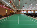 新綠里（SIGREENY）羽毛球場(chǎng)地膠墊室內PVC運動(dòng)地板耐磨防滑氣排球場(chǎng)地膠墊 曬單實(shí)拍圖