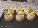 潤華年食品級果醬玻璃瓶子密封罐帶蓋小迷你小號攜帶透明圓形酸奶瓶布丁 大號 200mL 6件套 曬單實(shí)拍圖