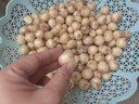 辰實(shí)四川苦藠 苦藠頭新鮮小根蒜苦芥苦叫小蒜頭 茭頭 1斤 曬單實(shí)拍圖