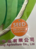 鳳鳴雅世荷蘭豆種籽種子四季蔬菜種子農(nóng)家蔬菜種籽珍寶荷蘭豆種子250克 曬單實(shí)拍圖