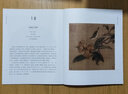 最美花鳥(niǎo)畫(huà)100幅 中國古代花鳥(niǎo)畫(huà)精選集五代兩宋唐元明清工筆水墨寫(xiě)意畫(huà)名家作品代表歷史故事臨摹賞析 曬單實(shí)拍圖