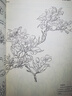 中國(guó)畫工筆人物畫底稿白描畫稿臨摹線稿大幅十八描摹線描入門古風(fēng)畫冊(cè)集仕女圖畫譜國(guó)風(fēng)水墨佛像敦煌壁畫宋畫手繪針管畫零基礎(chǔ)練習(xí) 白描基礎(chǔ)教程書 曬單實(shí)拍圖