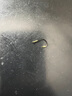 simago喜曼多散裝魚(yú)鉤大物釣鉤帶槽伊豆新關(guān)東無(wú)倒刺千又袖鉤溪流釣具配件 暴力黑坑伊勢(shì)尼有刺5號(hào) 曬單實(shí)拍圖