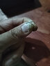 DTOTO999足銀銀杏葉養耳釘耳環(huán)耳掛耳墜女森系耳飾可愛(ài)嫩芽女生禮物 三葉子耳掛1對 999足銀 曬單實(shí)拍圖